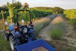 Solis Kompakttraktor 26 Grundmaschine ohne Bereifung – Bild 3