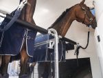 Humbaur Maximus 2700 – Bild 2